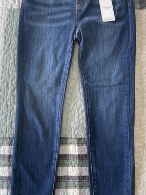Judy Blue Indigo Skinny Jeans